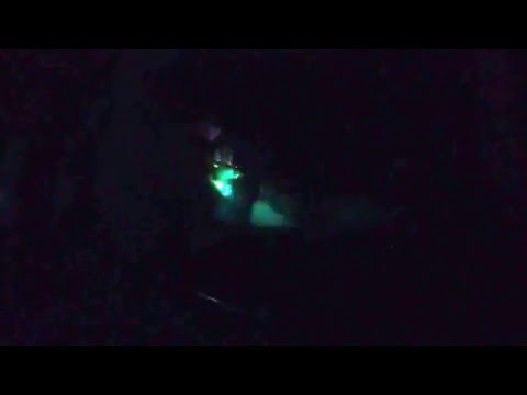 LightShow|TheEpic Grizly (midnight terrain by hermitude)