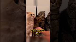 Menyambut Lebaran Saatnya Latihan Salaman Dulu