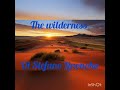 The Wilderness By Di Stefano Linonoka The Wilderness By Di Stefano Linonoka