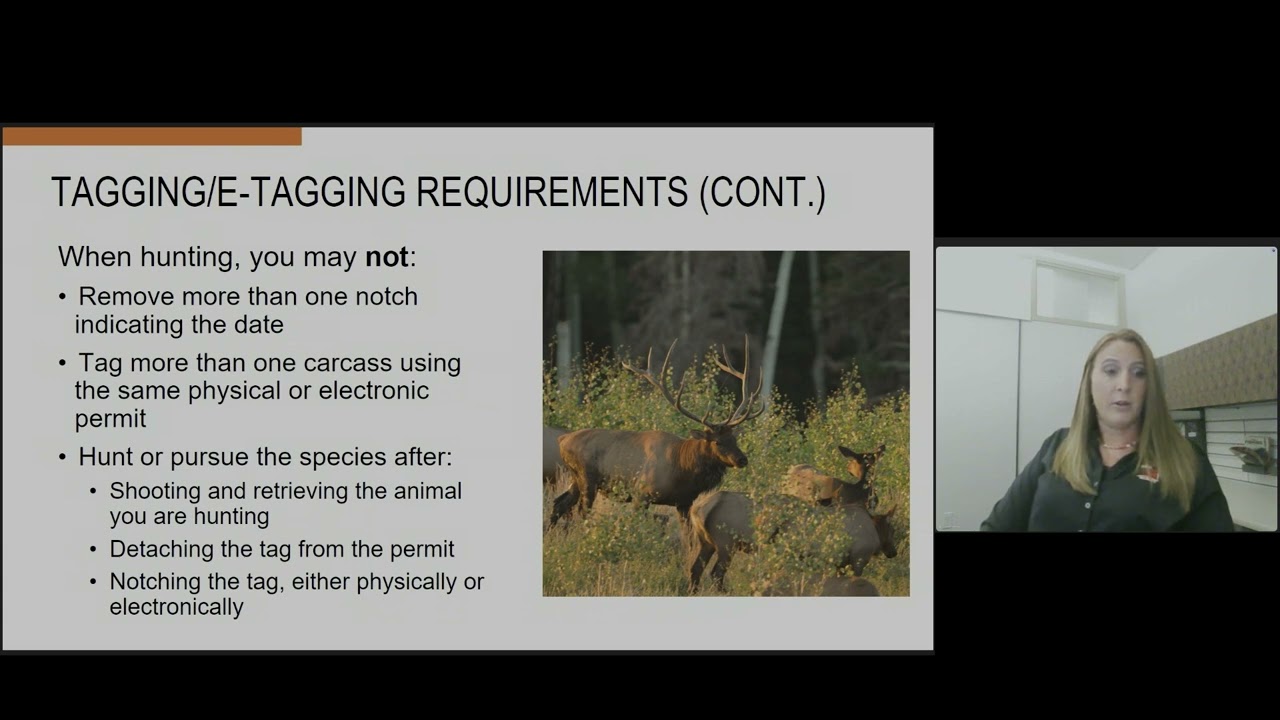 Utah wildlife tagging requirements