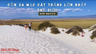 Những điều cần biết khi tới Cồn Sa Mạc Cát Trắng Thạch Cao có 1 ko 2 tại Mỹ | White Sands Natl Park