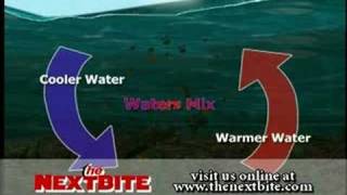 Lake Turnover - The Next Bite - Season 1