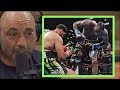 Joe Rogan Reacts to Deontay Wilder KO'ing Dominic Breazeale