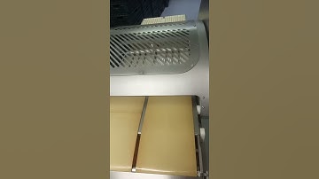 Marel SC180 Salmon Slicer