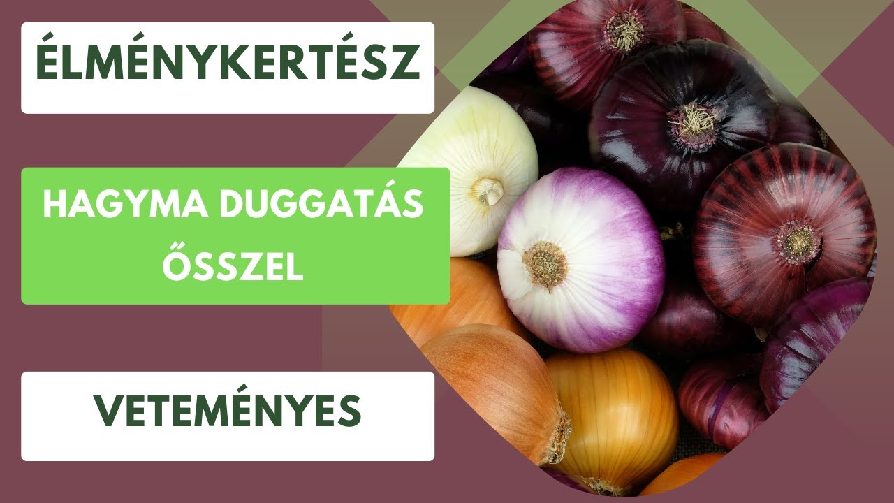 Őszi hagyma duggatás🧅🧄