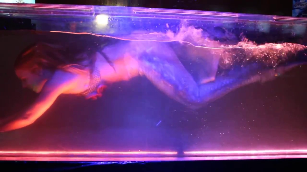 Trina The mermaid live in her traveling aquarium at Capones night club fort lauderdale march 6 2014
