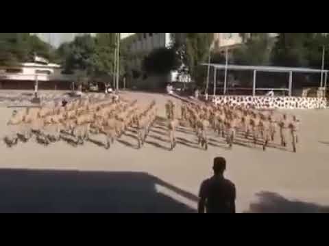 أصحي لينا الجيش المصري