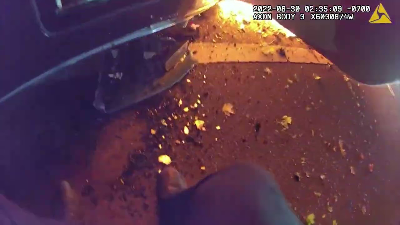 BODY CAMERA FOOTAGE Officer rescues person from burning car in