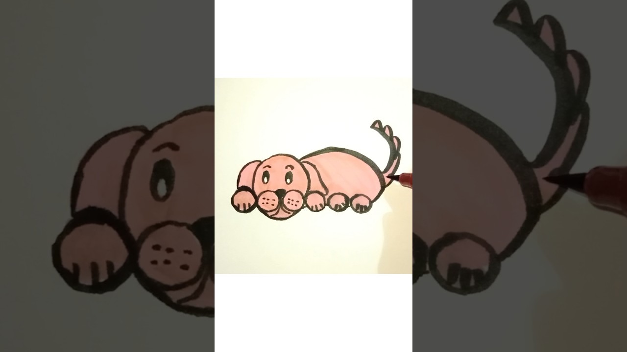 DRAW DOG with circle ⭕