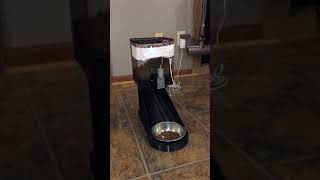 IoT dog feeder v2