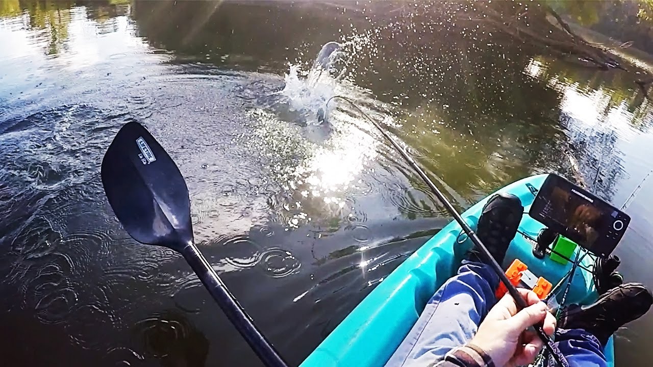 INSANE Fall Bass Fishing Learn How To Fish A Jig NOW! Bass Manager