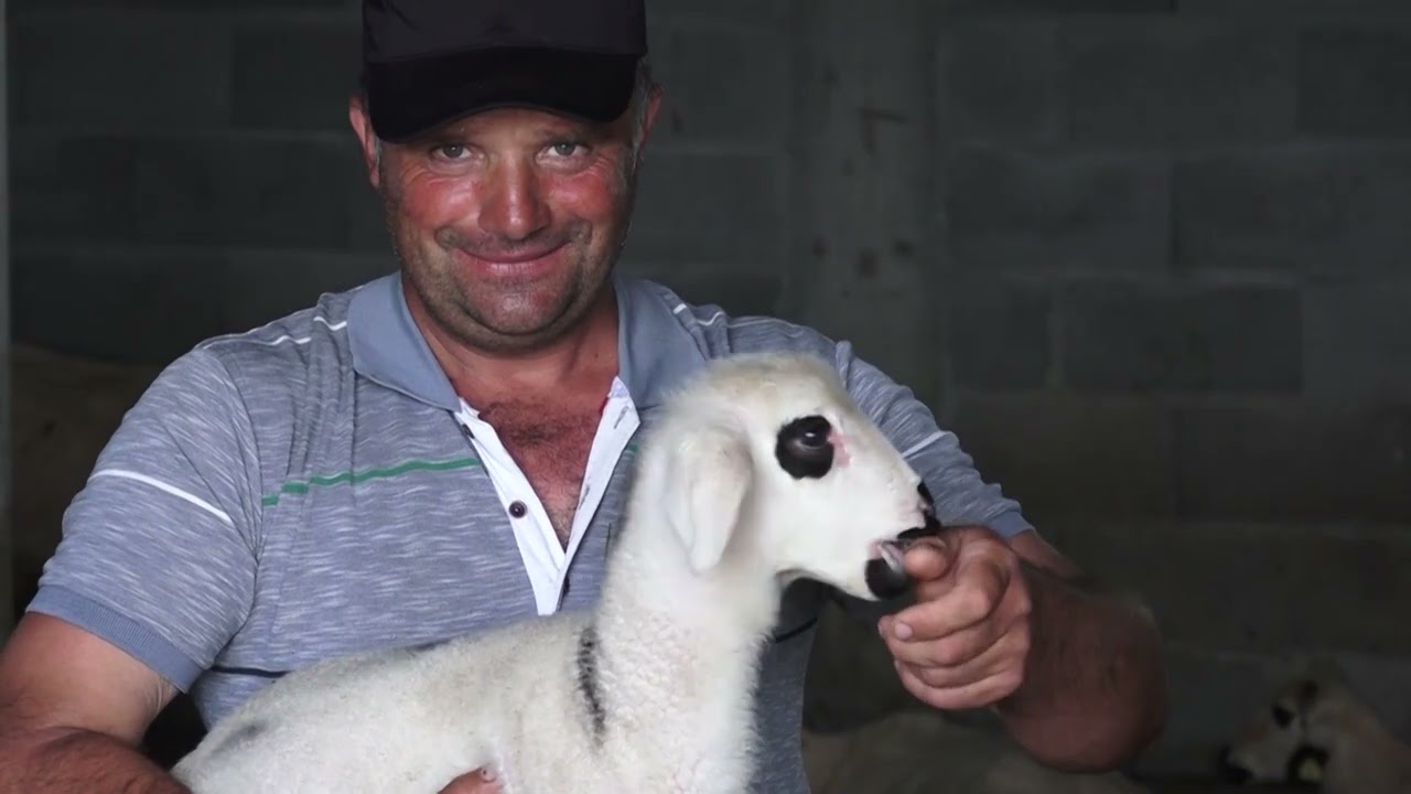 Agro karavan ep.185 - Tutin - 18.07.2021.