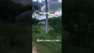 #lembrancas #nordeste #interior #passado #sertão