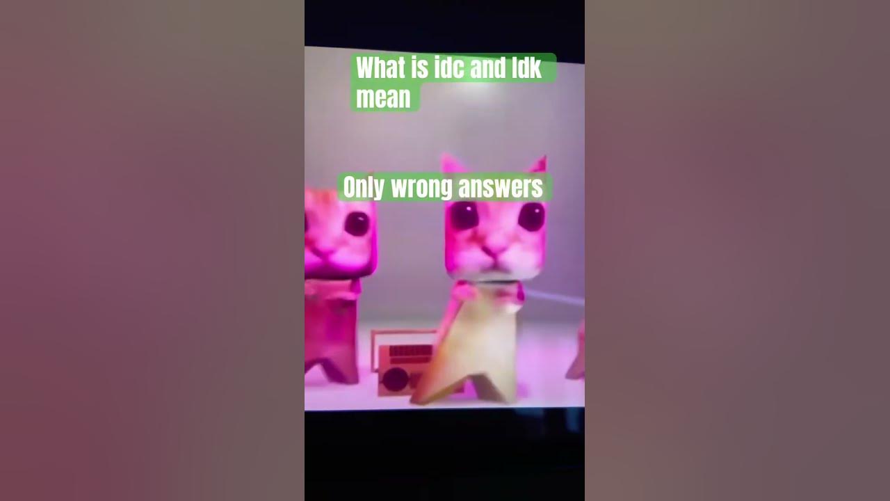 What does idc and idk mean YouTube