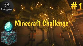 Minecraft Challenge Part 1