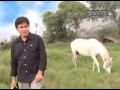 NUNCA ME DEJASTE M Kaddesh