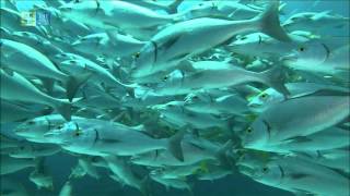 Galápagos Islands Unescotbs