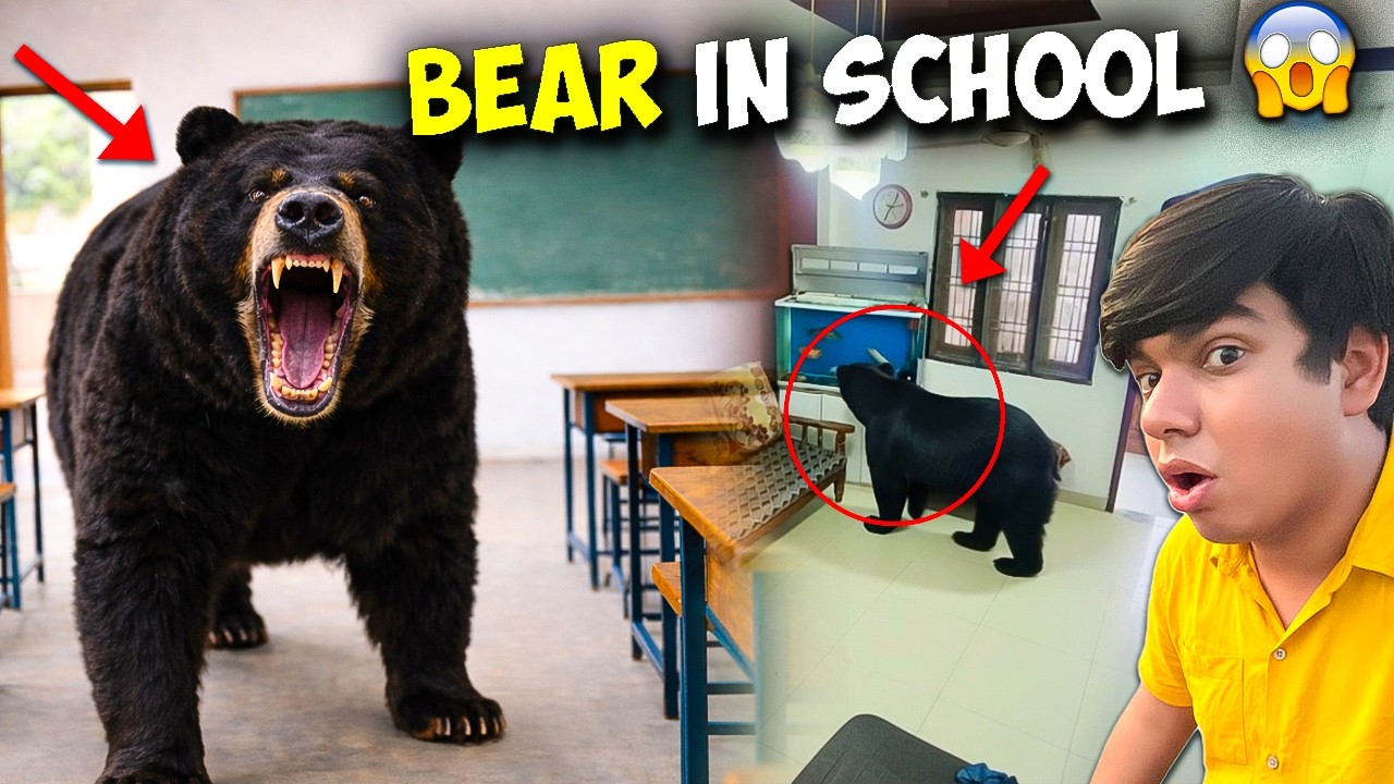 Big Bear School Me Ghus Gaya 😱 स्कूल में भालू घुस गया 🚨 Please Help 🙏