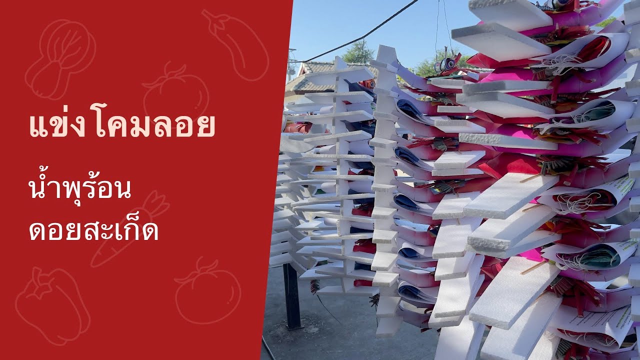 บรรยากาศการแข่งขันโคมลอย ตอนกลางวันที่น้ำพุร้อนดอยสะเก็ด อ.ดอยสะเก็ด เชียงใหม่ 16 ธันวาคม 2566