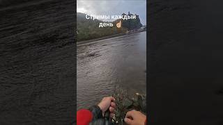 такие моменты каждый день #fishing #carpfishing #рыбалканафидер