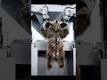 Dirty Polar Bear vs. INDUSTRIAL Washing Machine! 🐻🚿 (Satisfying Transformation)