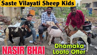 2026 Saste Vilayati Sheep Kids At NASIR BHAI | Dhamaka Looto Offer Mende In Kalyan 
