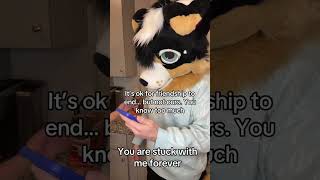 Help me @markwulf #furry #fursuit #fursuiters #furrycommunity