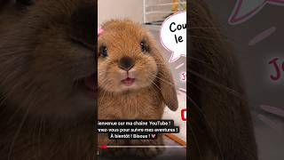 VID 20261018 WA0010