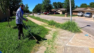 Neighbors GAVE us the OKAY because THEY were TIRED of the LAWN LOOKING BAD