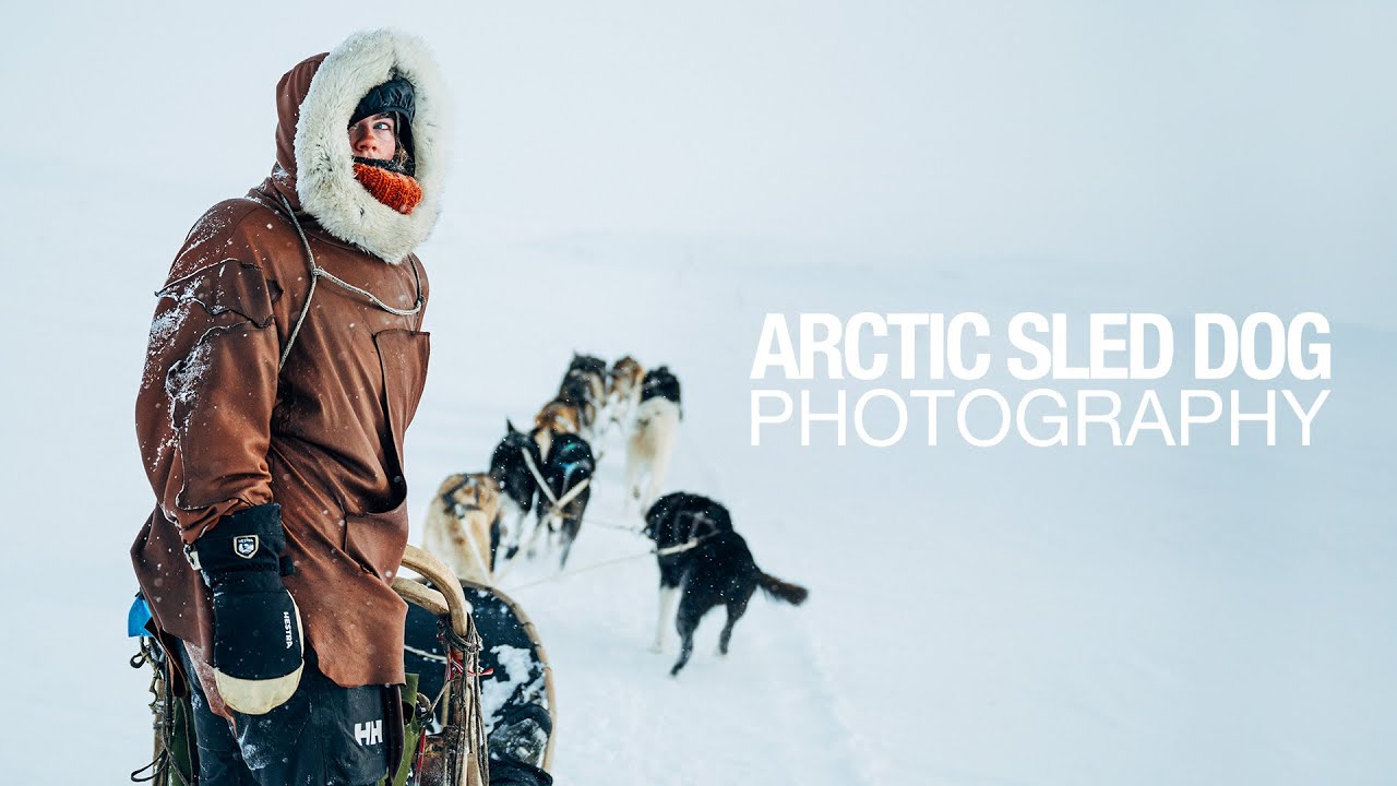 With Sled Dogs and Ski through Norways Arctic Backcountry
