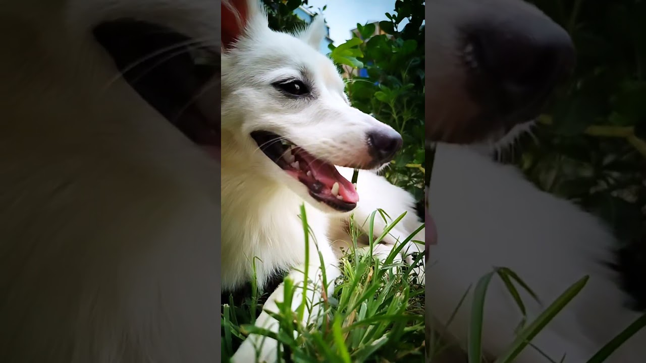 Enjoying beautiful weather ☁️