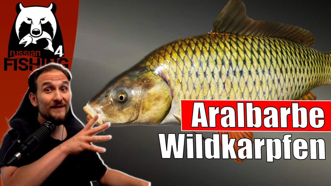 Russian Fishing 4 - Achtuba - Wildkarpfen und Aralbarbe