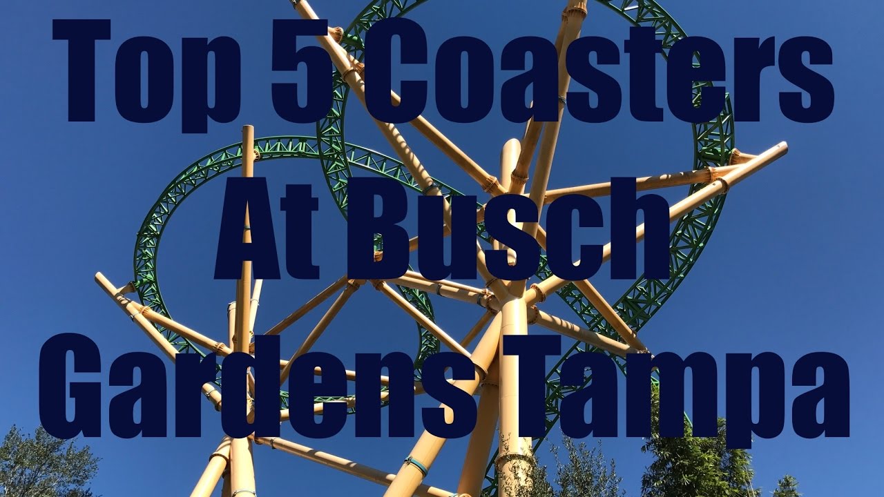 Top 5 Coasters At Busch Gardens Tampa YouTube