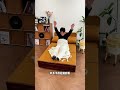 Compact Home Hacks#sofaclub