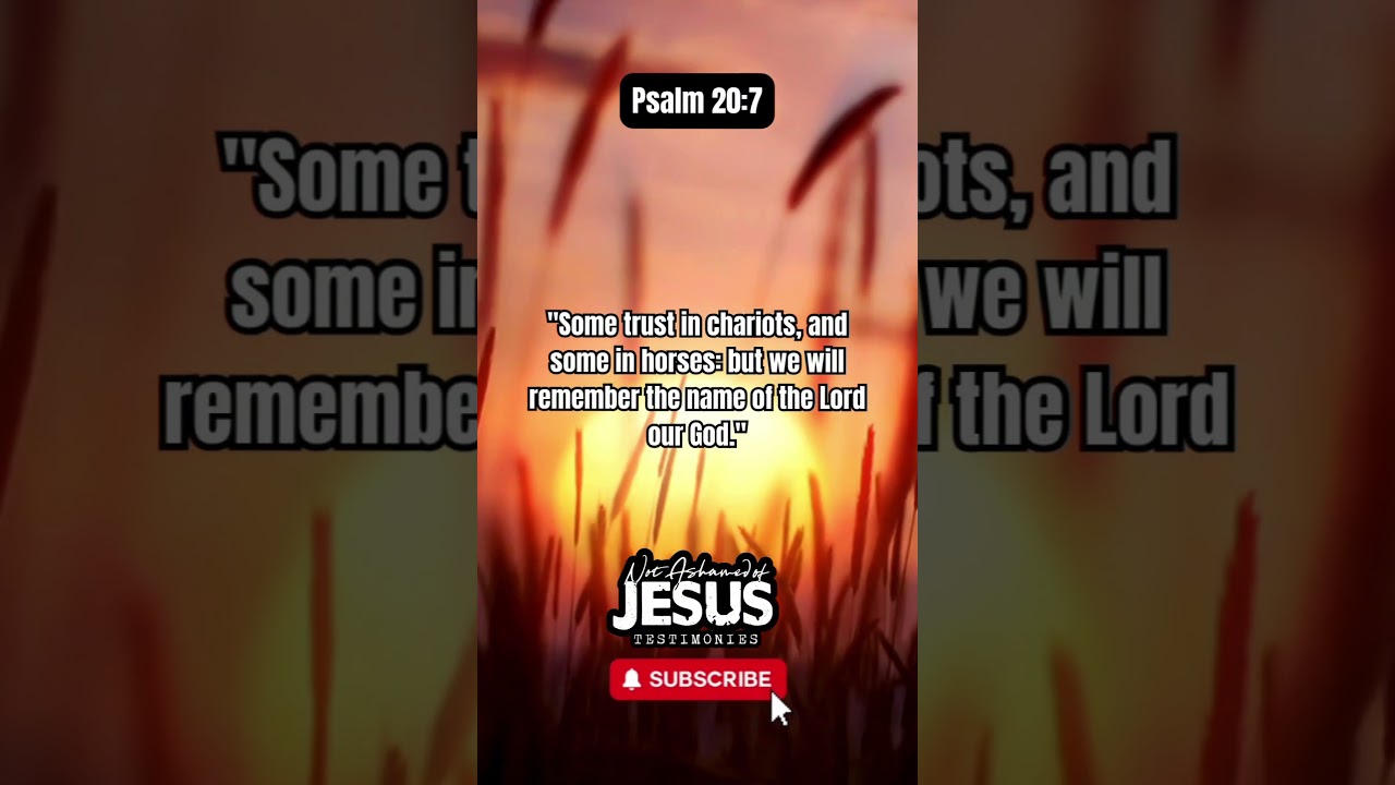 Day 7 Psalm 20:7-Trust in the Lord, He Can't Fail You 