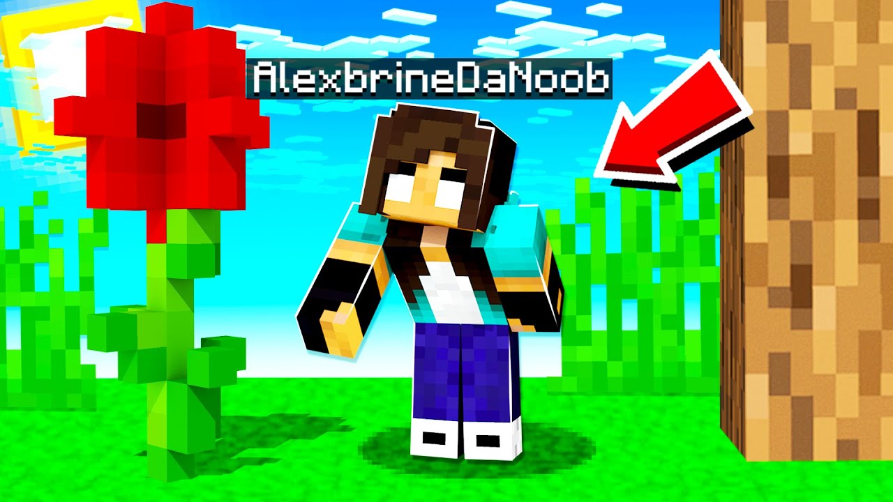 I made noob Girl TINY in Minecraft!