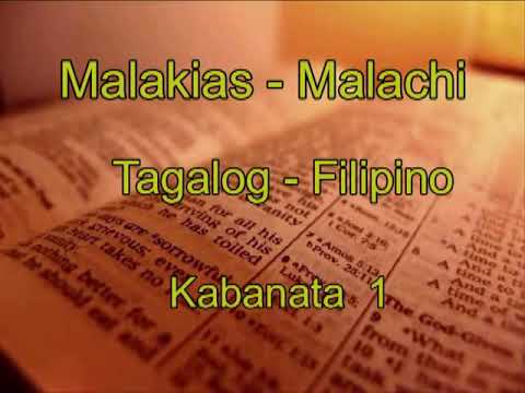 Video: Ano ang malacha?