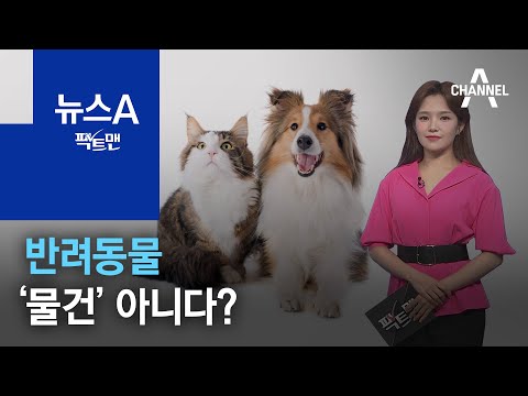 [팩트맨]반려동물, ‘물건’ 아니다? | 뉴스A