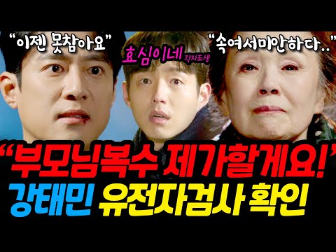 [효심이네 각자도생] 속여서 미안하다. 강태민과 강태호는 사촌아닌 친형제. 부모님 복수는 이제..