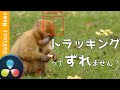 ずれなくトラッキング【ダビンチリゾルブ/DaVinci Resolve】【無料動画編集】