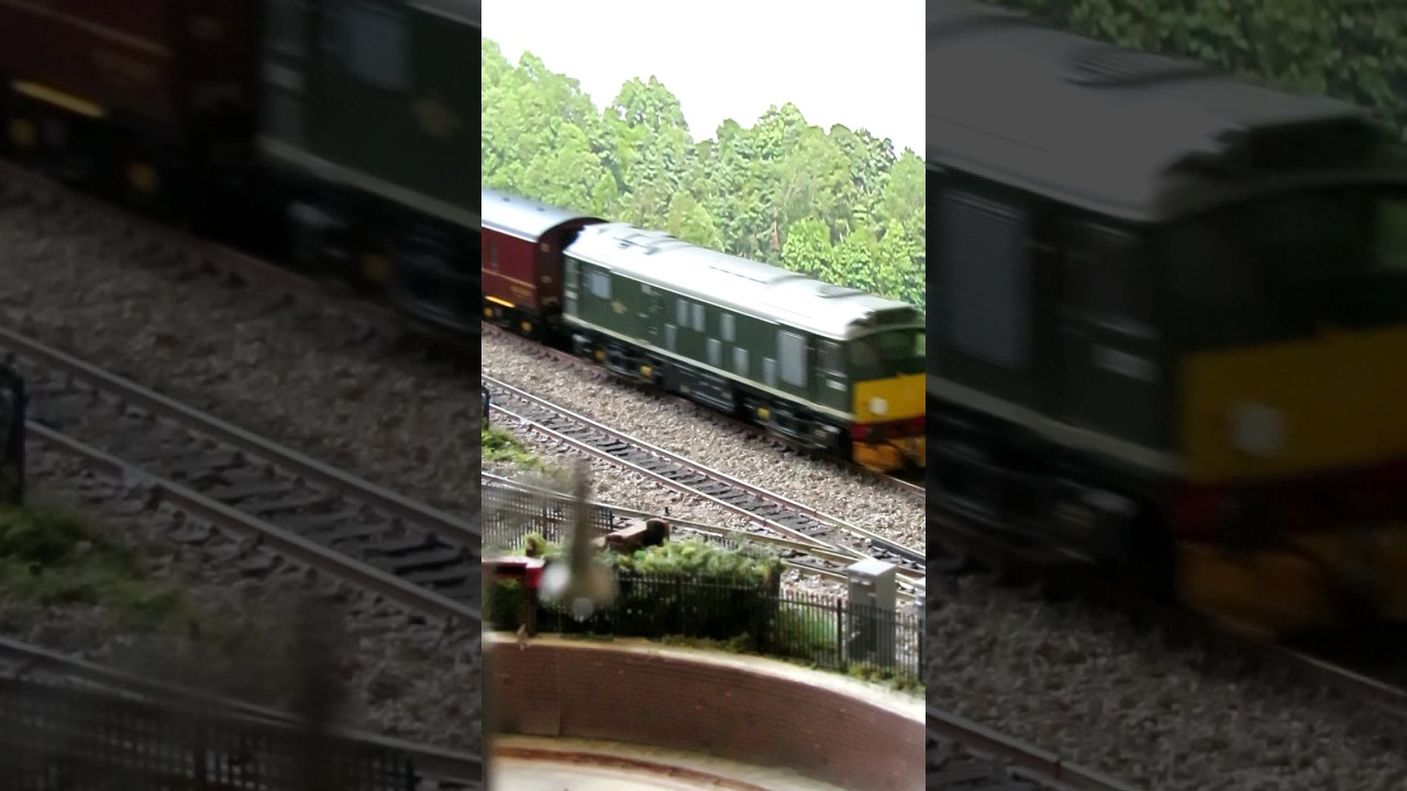 Class 25 Railtour passed by Class 37. 