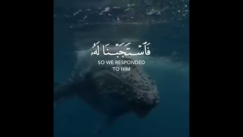 ماتيسر من سوره الانبياء حالات واتس آب دينيه