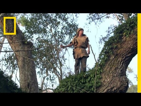 Colbert Climbs a Tree | Live Free or Die
