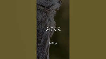 30 ثانية سورة الزلزلة الشيخ أحمد بن علي العجمي💭❤️