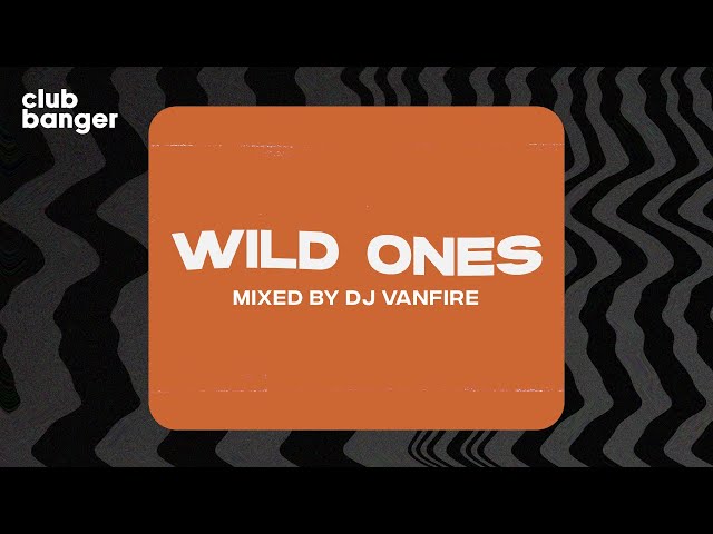 CLUB BANGER ORIGINAL - WILD ONES (VANFIRE FT. FLO RIDA, SIA) class=