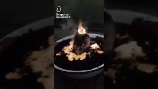 ٢٠ يونيو ٢٠٢٤