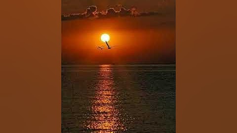 ماتسير من القران بصوت القارئ ريان باعشن