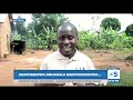 Abakoseddwa Omuggalo Badduukiriddwa Abalina Endwadde Ez Olukonvuba Bevuma Omuggalo Abakoseddwa Omuggalo Badduukiriddwa Abalina Endwadde Ez Olukonvuba Bevuma Omuggalo