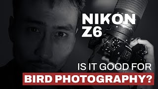 Nikon Z6 Good For Bird Photography? Actually, Maybe.