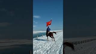 Bin Cihana Değişmem Şu Öksüz Türklüğümü.